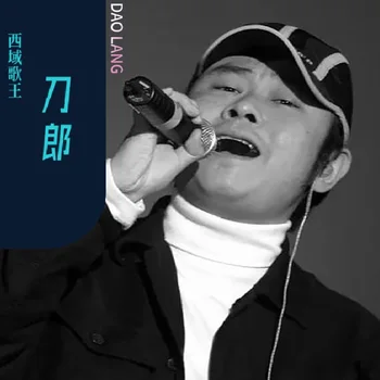 Азия Китай Поп-музыка Мужской певец Дао Лан 120 MP3 Коллекция песен 2 диска Китайская музыка Инструменты для изучения